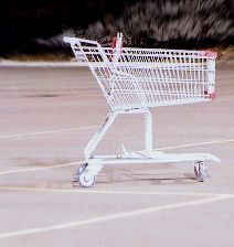 Shopping Cart